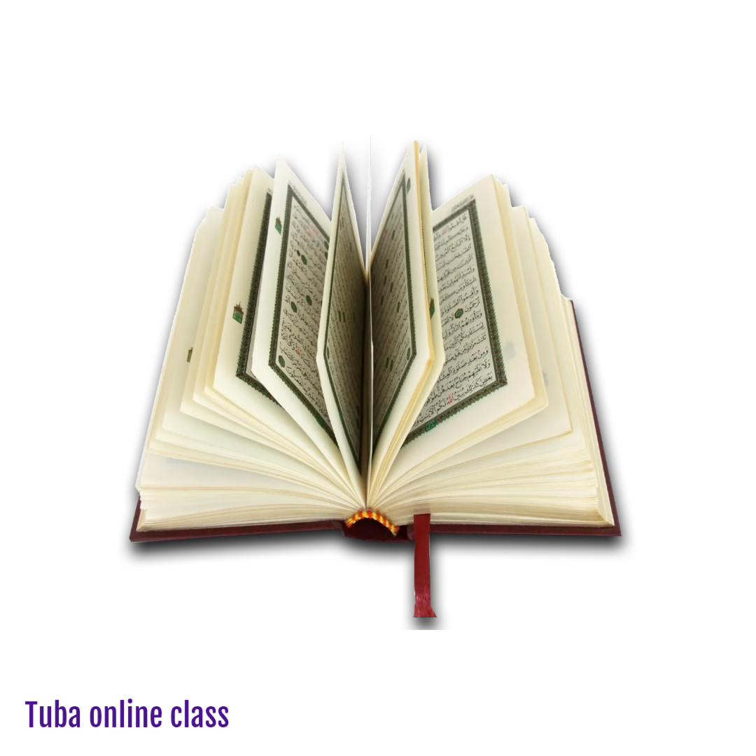 square-1-1-1754123920163